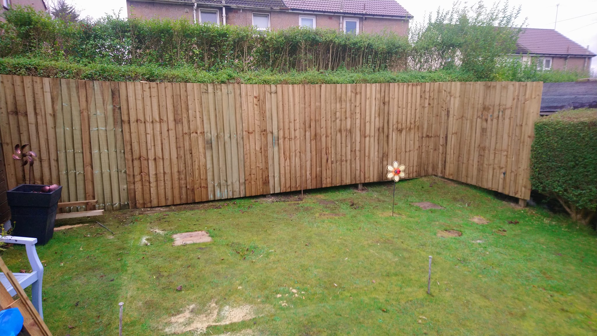 Wooden fence holding back tall hedges